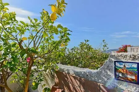 Shr035 El Algarrobo Нерха