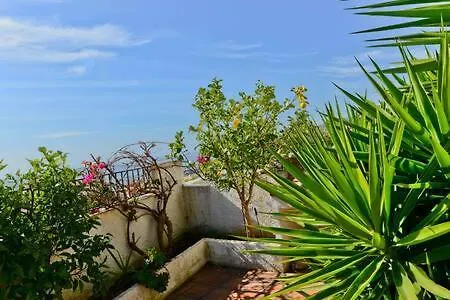 Shr035 El Algarrobo نيرخا